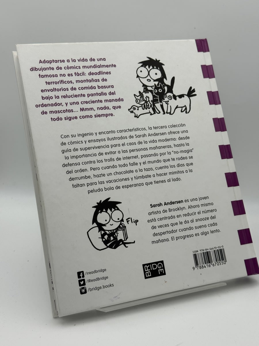 domando gatos - Imagen 2