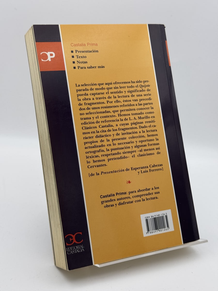 Don Quijote de la Mancha - Imagen 2