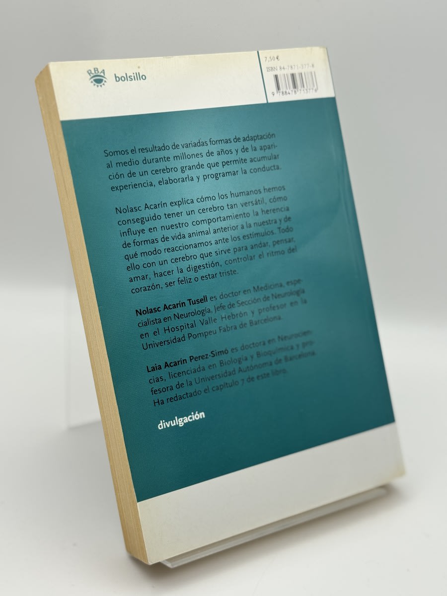 El Cerebro del rey - Imagen 2