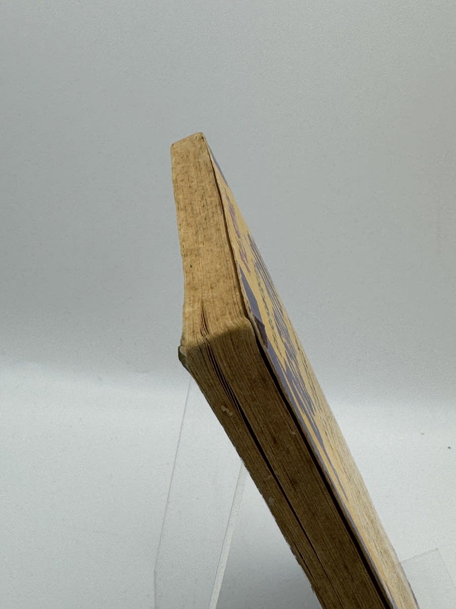 En busca de tus Pesadillas: ¡No des de comer al vampiro! - R.L. Stine - Imagen 3