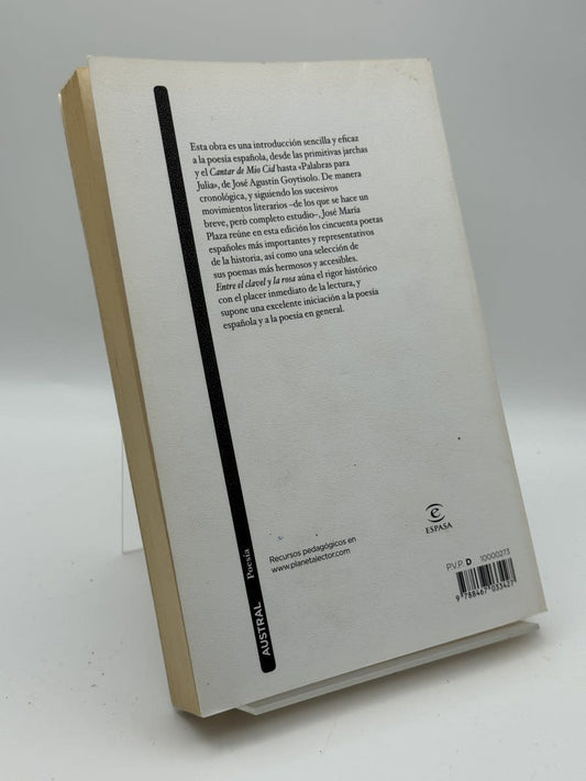 Entre el clavel y la rosa - Imagen 2