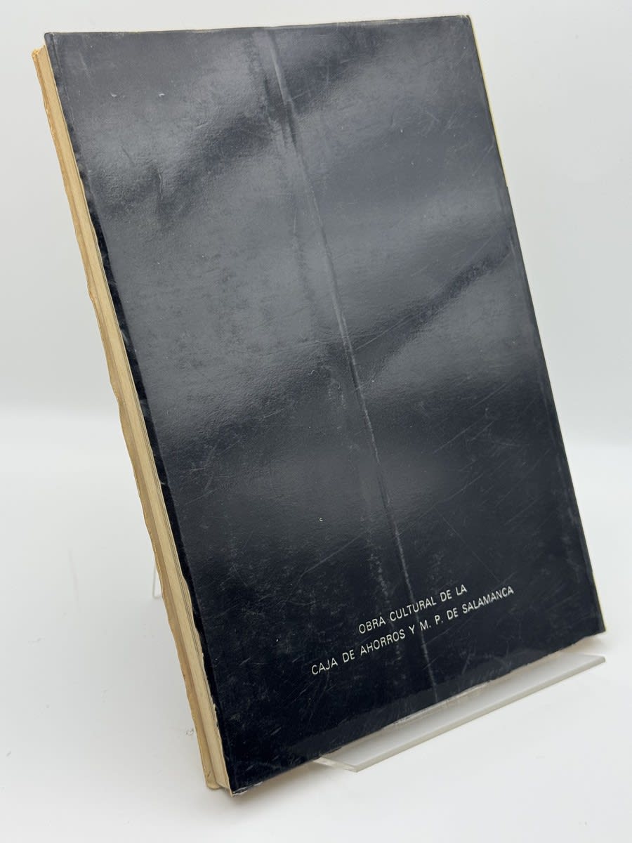 Foto 4 de Fernando Gallego y su taller en Salamanca - José Luis García Sebastián de José Luis García Sebastián, libro de segunda mano
