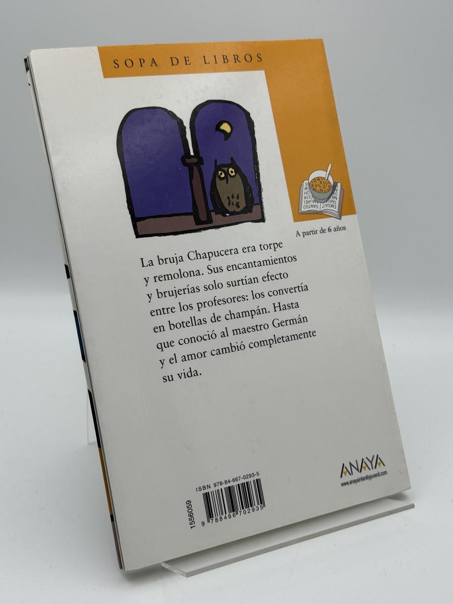 la bruja y el maestro - Imagen 2