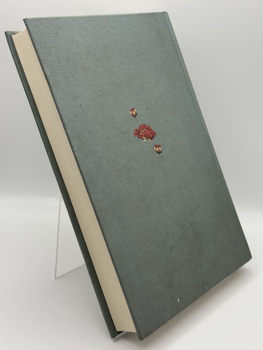 La feria de las vanidades - Imagen 2