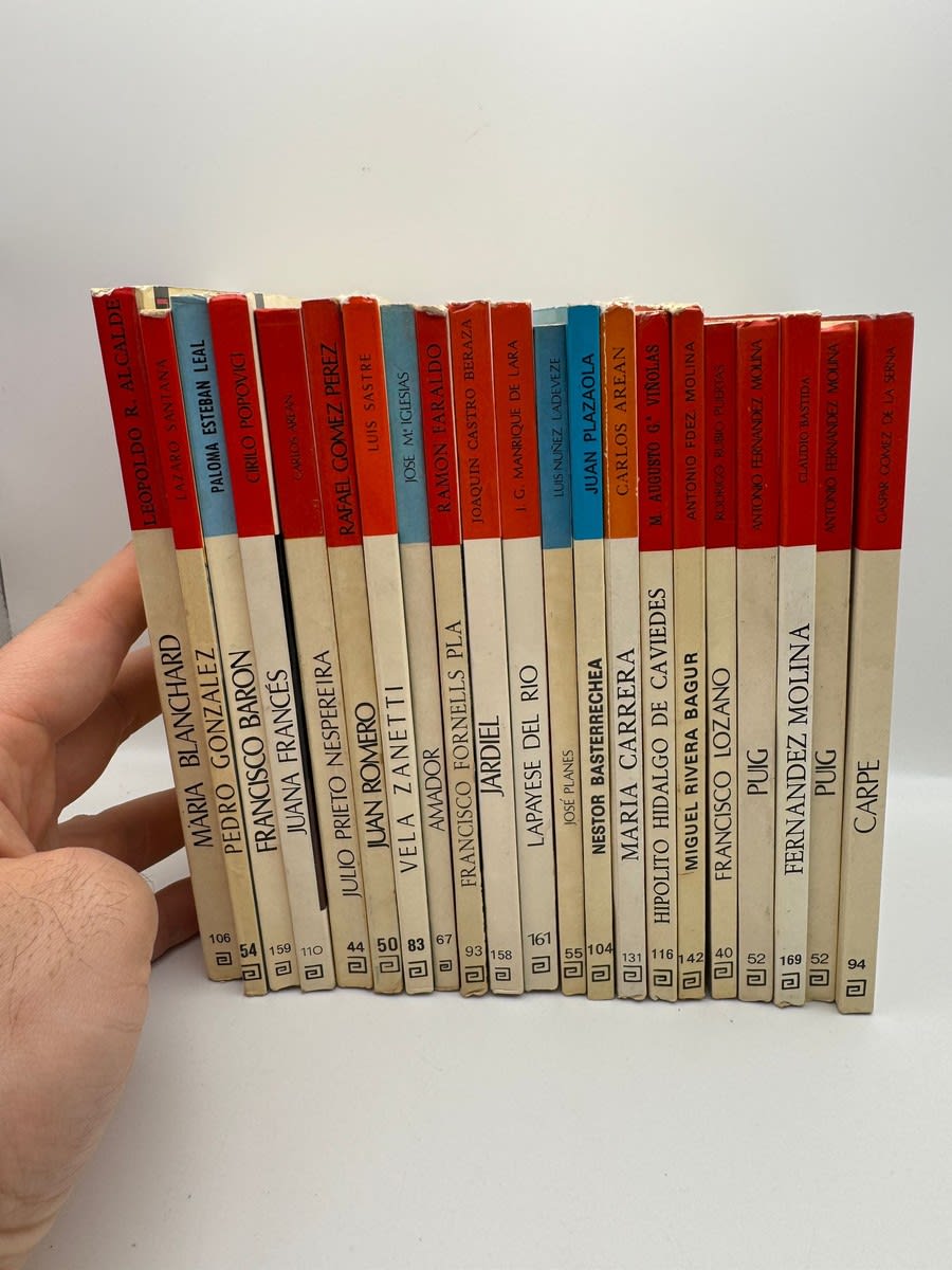 Lote de 21 volúmenes de la colección “Artistas Españoles Contemporáneos” - Imagen 2