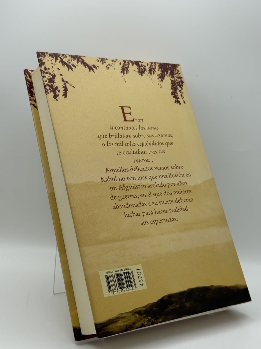 Mil soles espléndidos - Imagen 2