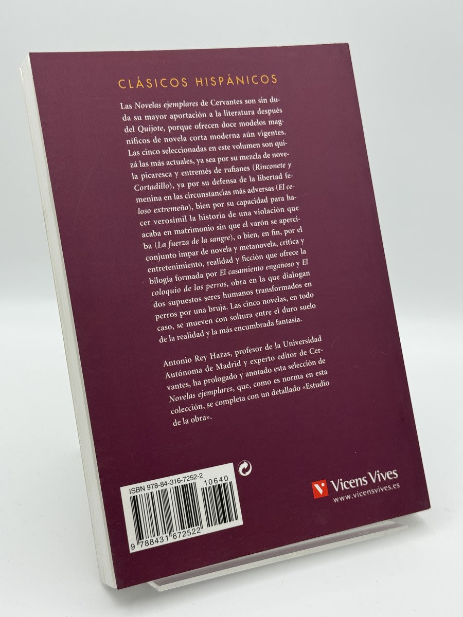 Novelas ejemplares - Imagen 2