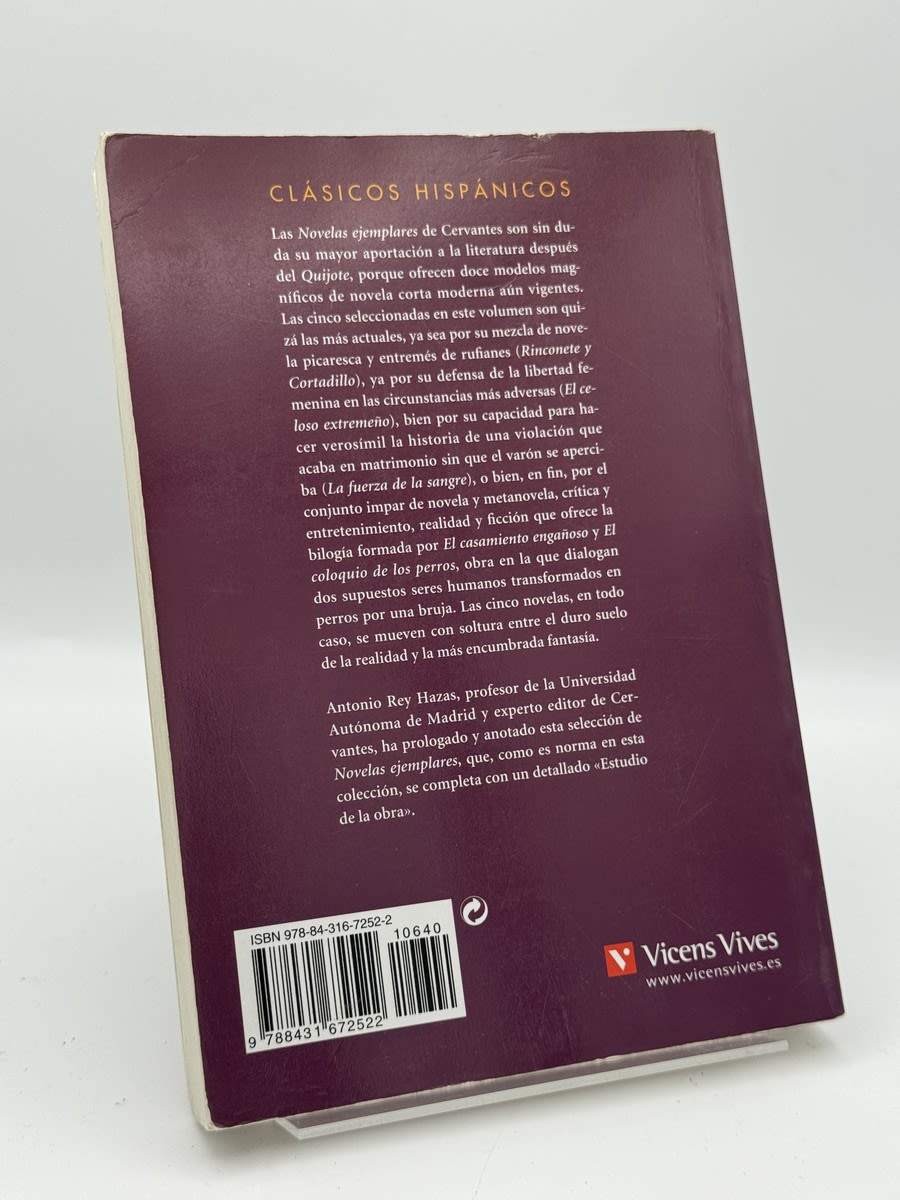 Novelas ejemplares - Imagen 2