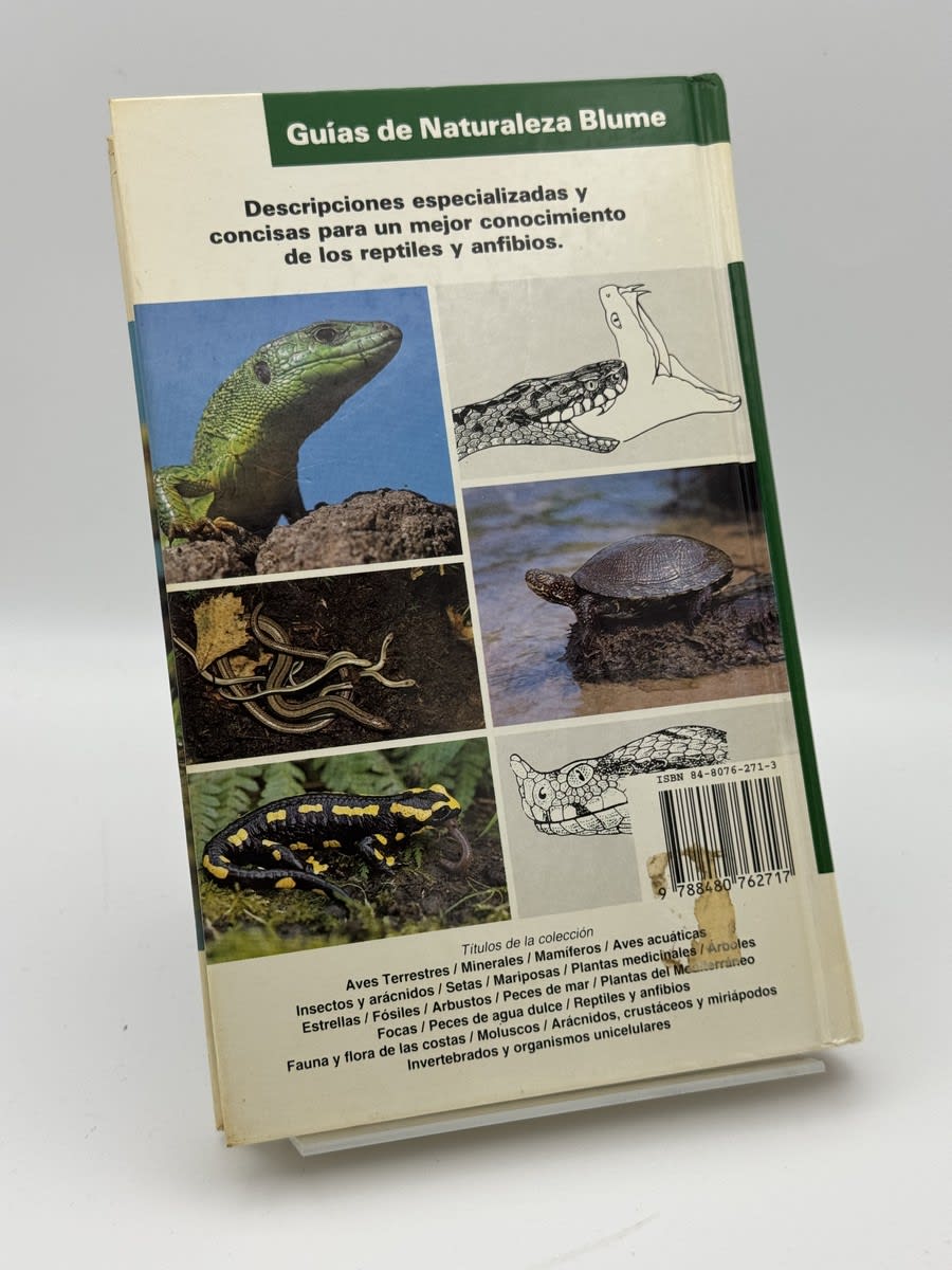 REPTILES Y ANFIBIOS - Imagen 2