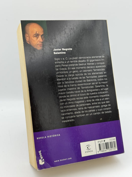 Salamina - Imagen 2