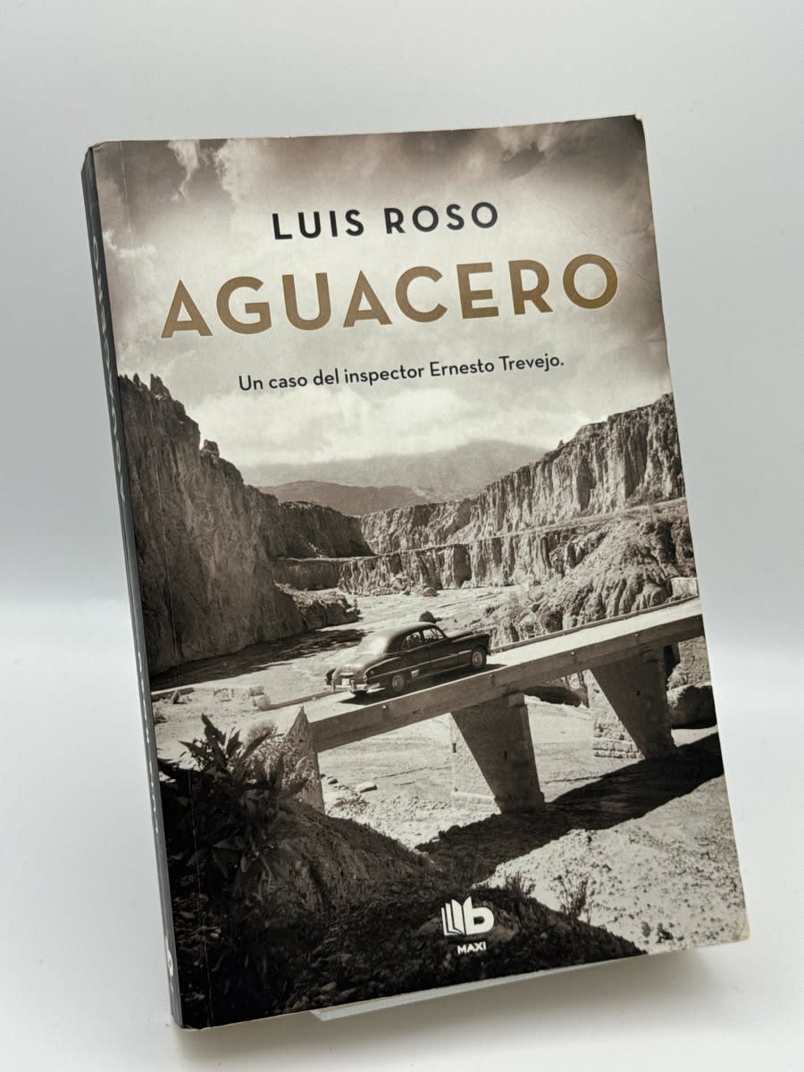 Aguacero - Luis Roso - Portada