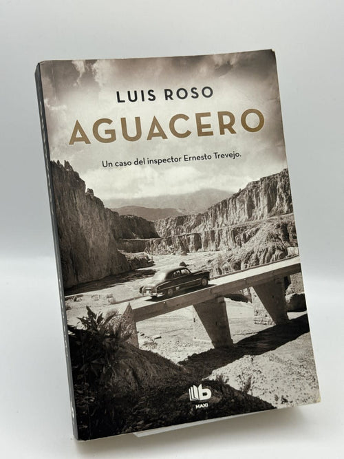 Aguacero - Luis Roso - Portada