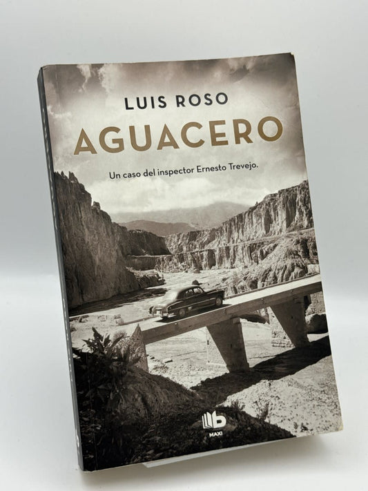 Aguacero - Luis Roso - Portada