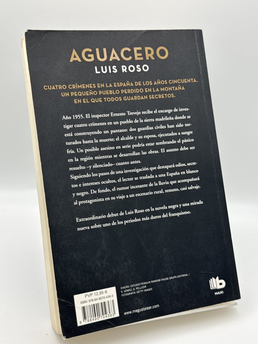 Aguacero - Luis Roso - Imagen 2