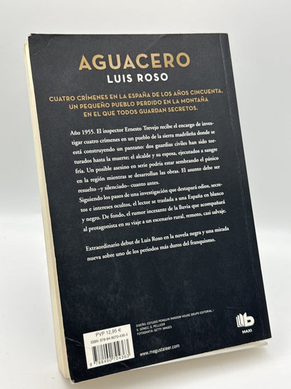 Aguacero - Luis Roso - Imagen 2