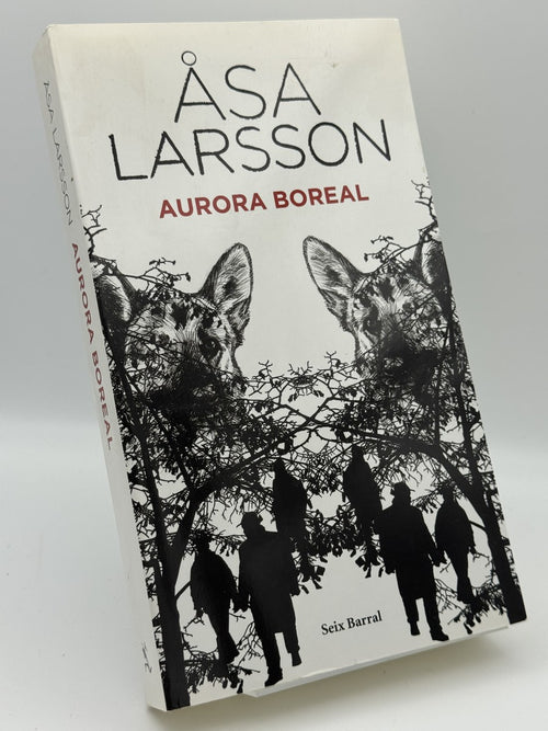 Aurora boreal - Portada