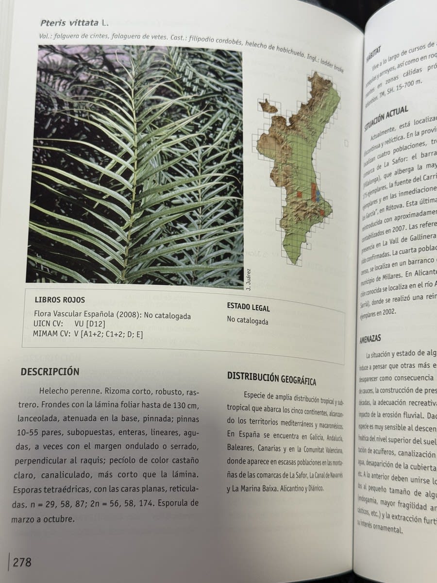 Catálogo valenciano de especies de flora amenazadas - Antoni Aguilella Palasí - Foto 2