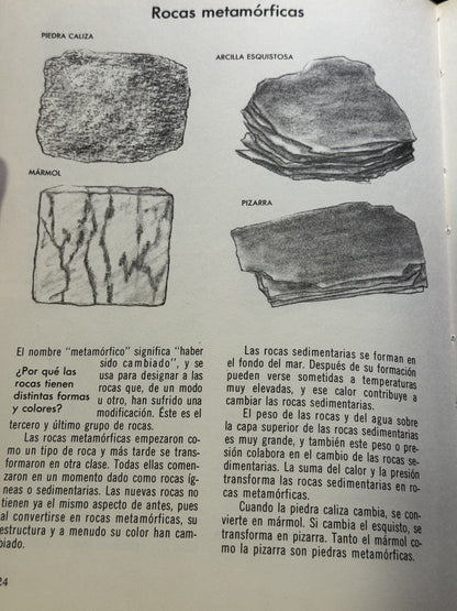 Cómo y por qué de las rocas y minerales - Foto 4