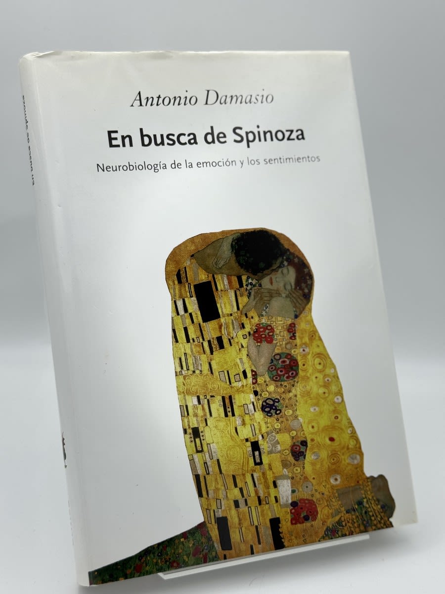 En Busca de Spinoza - Portada