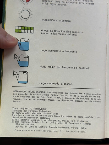 Guía de plantas y flores - Foto 2