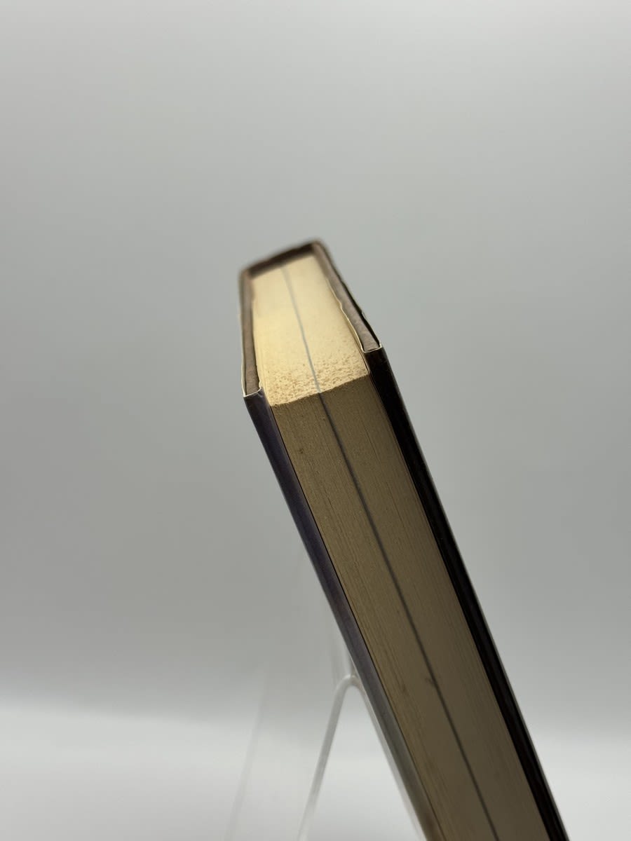 La hierba del diablo, La torre oscura 1 - Foto 2