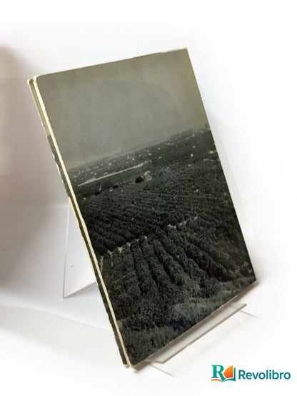 Foto 2 de La región valenciana de Eliseo Vidal Beltrán, libro de segunda mano