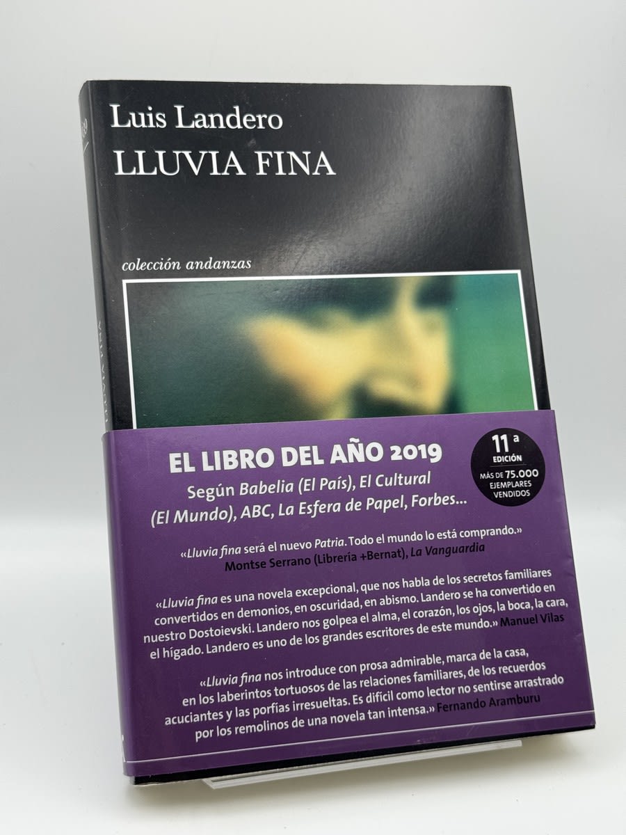 Lluvia fina - Portada