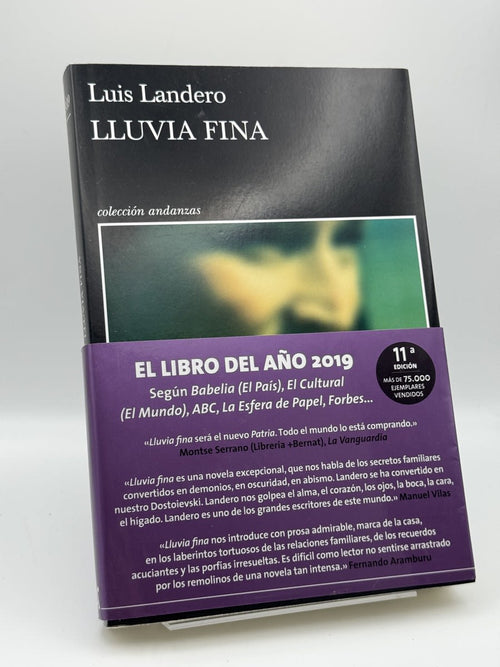 Lluvia fina - Portada