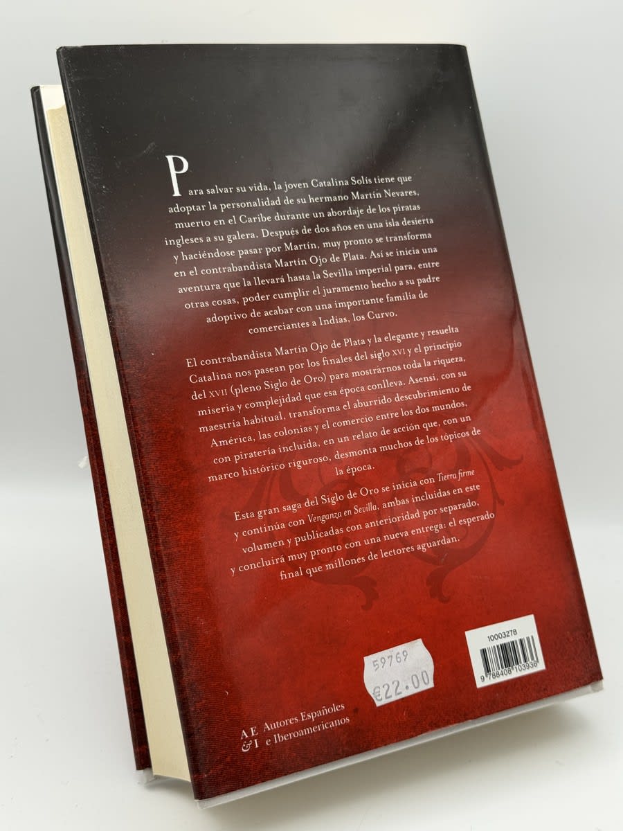 Martín Ojo de Plata - Matilde Asensi - Imagen 2