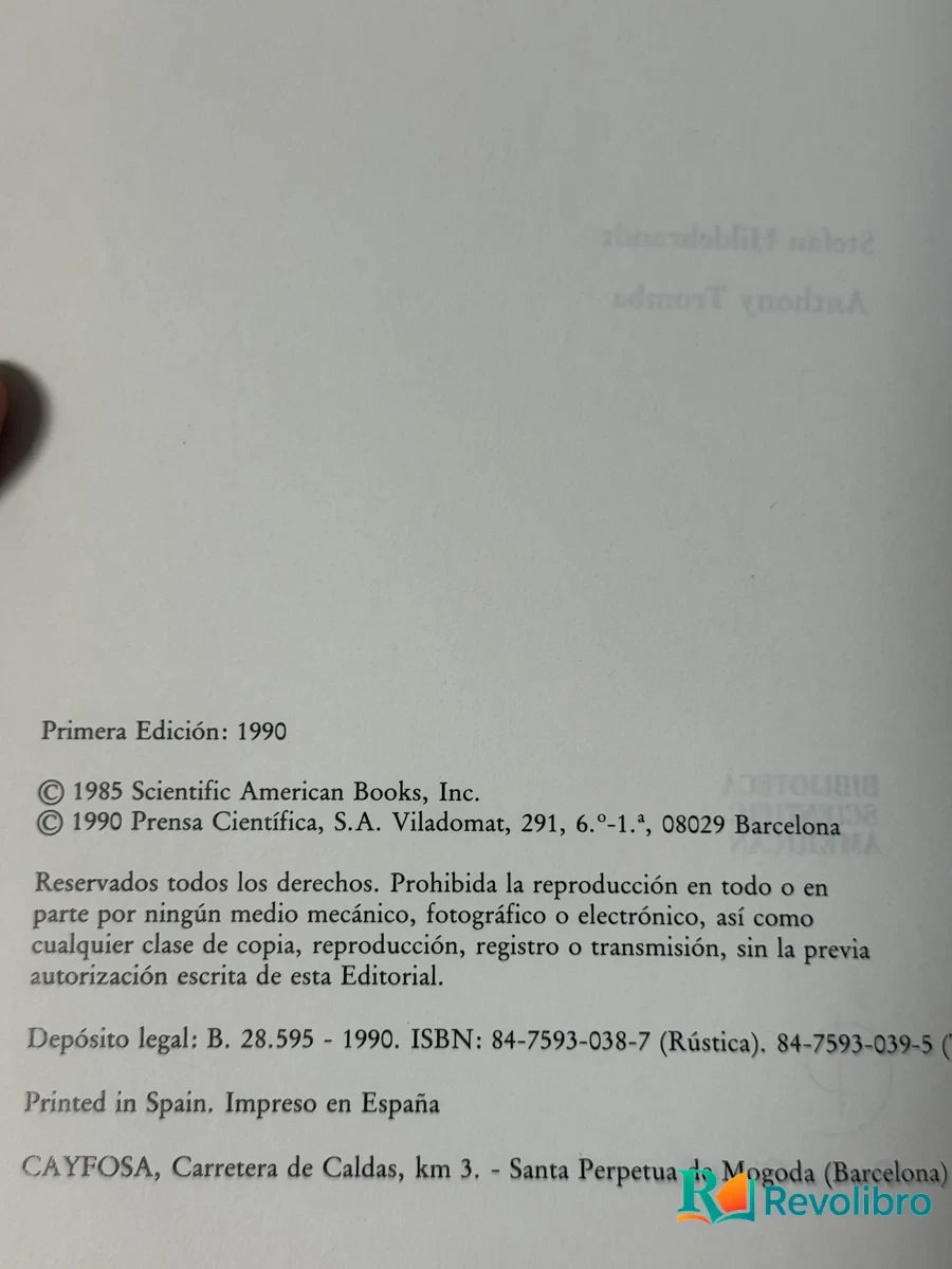 Foto 2 de Matematica y Formas Optimas de Stefan Hildebrandt y Anthony Tromba, libro de segunda mano
