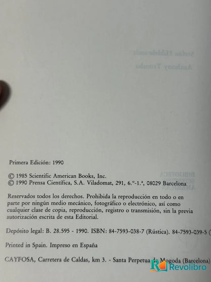 Foto 2 de Matematica y Formas Optimas de Stefan Hildebrandt y Anthony Tromba, libro de segunda mano