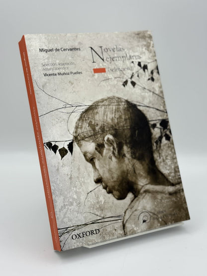 Novelas ejemplares - Portada