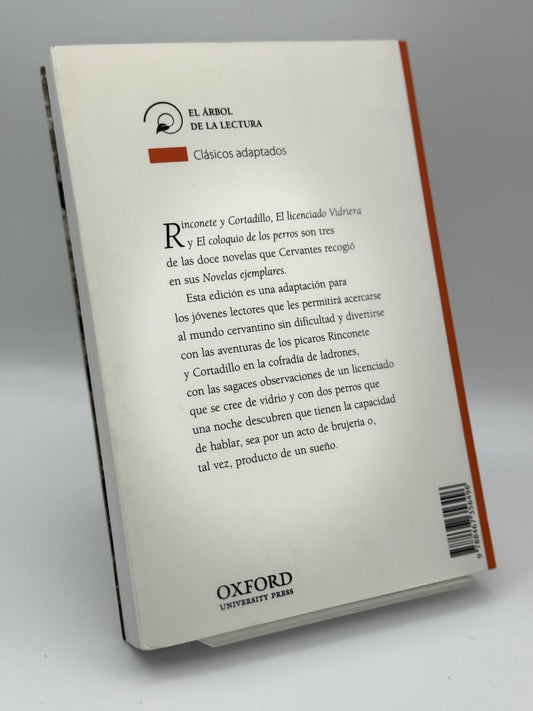 Novelas ejemplares - Imagen 2