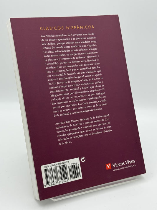 Novelas ejemplares - Imagen 2