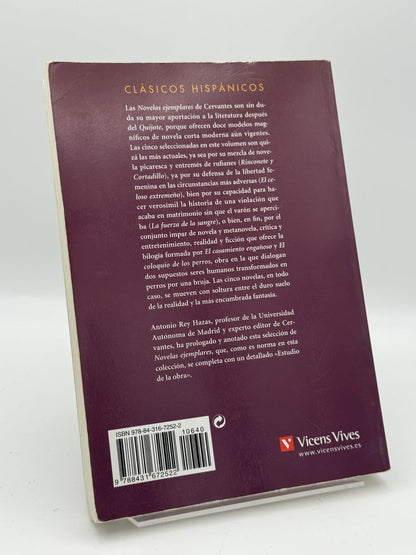 Novelas ejemplares - Imagen 2