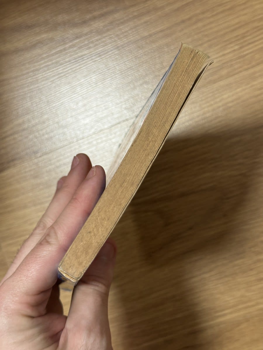 Pánico en la calle del miedo - R. L. Stine - Imagen 6