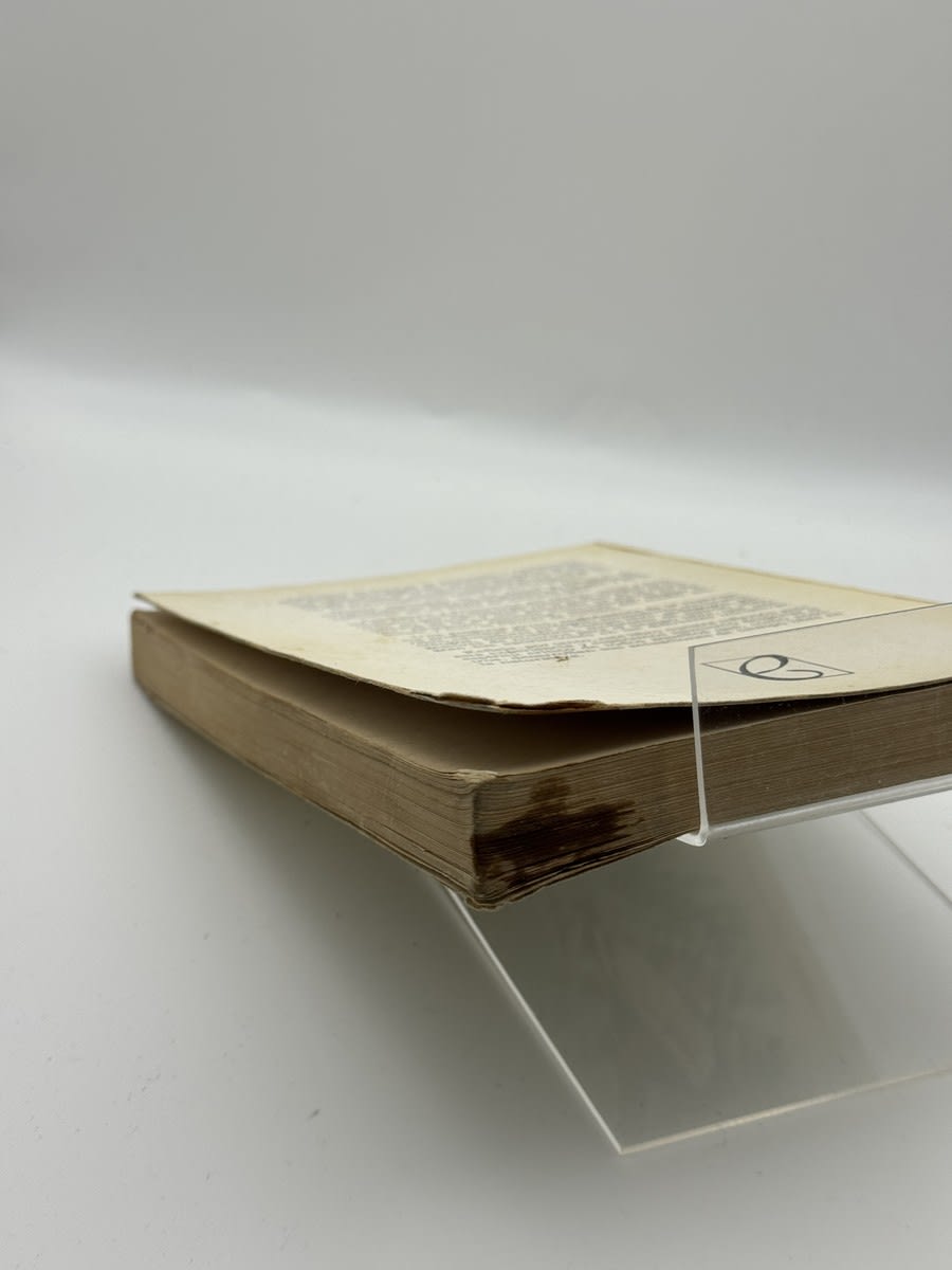 Tiempo libre y naturaleza - Imagen 2