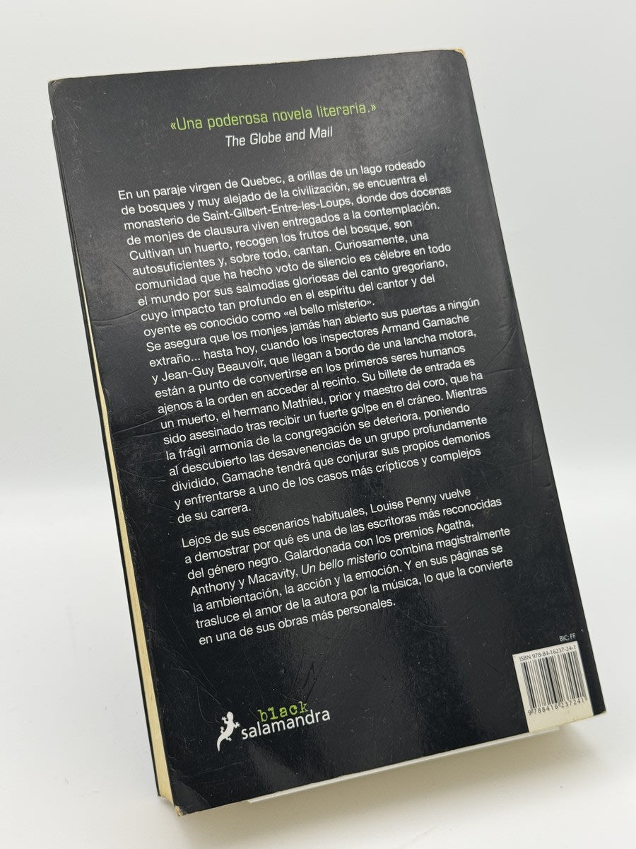 Un Bello Misterio - Imagen 2