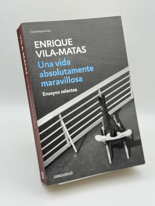 Una vida absolutamente maravillosa - Portada